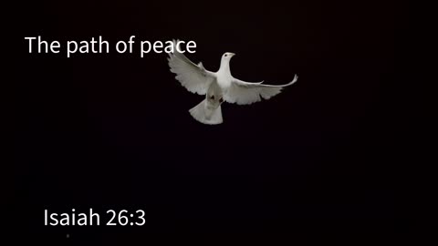 The path of peace