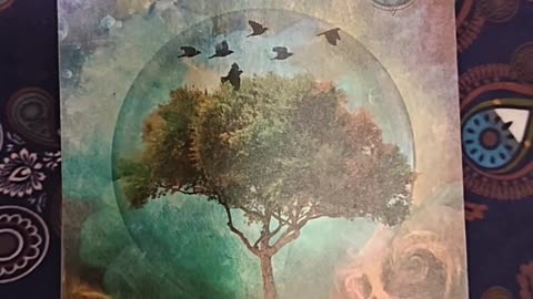 Oracle Card Reading 9/27/25