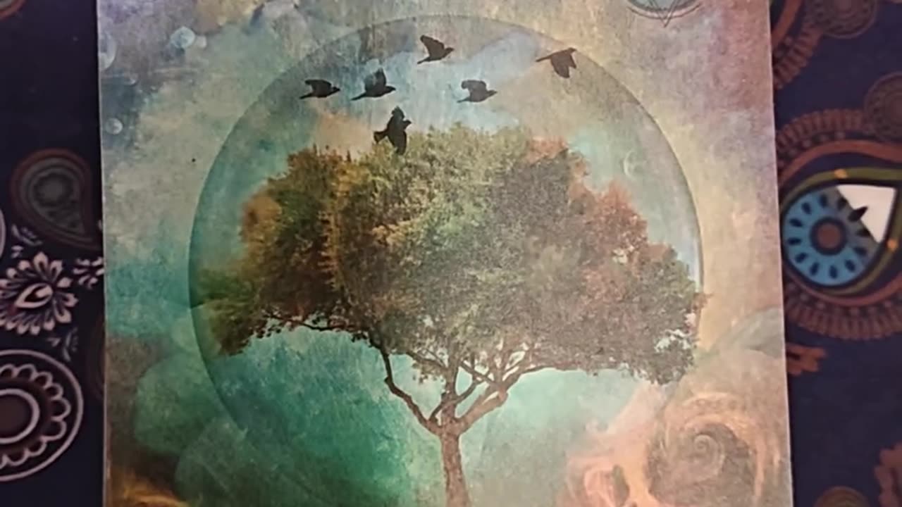 Oracle Card Reading 9/27/25