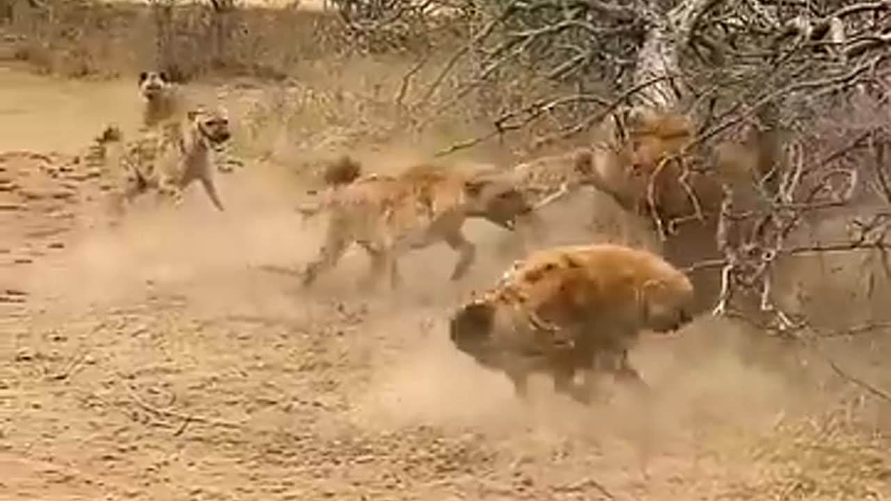 Me Against 40 Of You , A Fair Fight