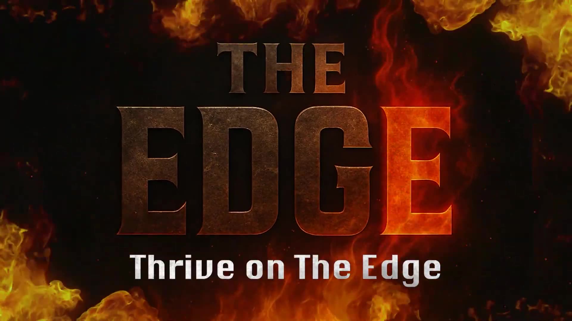The Wolf on Rolling the Dice, Risking it ALL & Watching Millions BURN