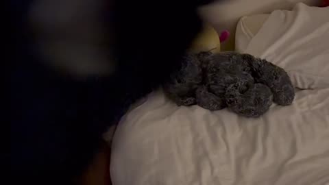 😱👻 They Thought They Were Alone... What Did We Catch in Our Room? | TheHauntingHour