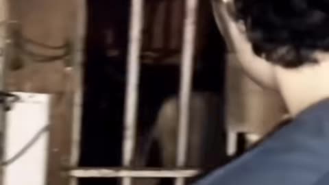 😱👻 The Scariest Ghost Sighting Ever Recorded! | TheHauntingHour