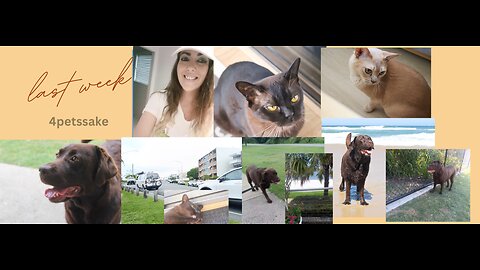 My little business this last week