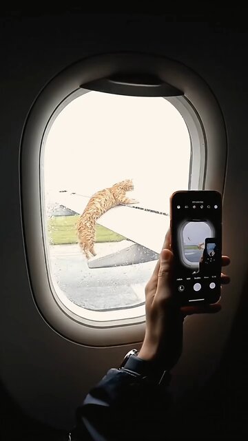 no way o my god help