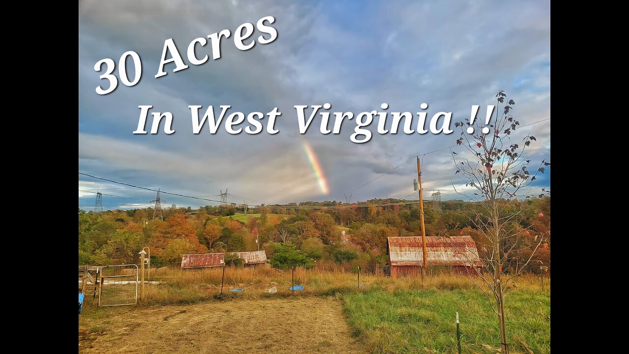 We bought a 30 acre homestead in West Virginia!