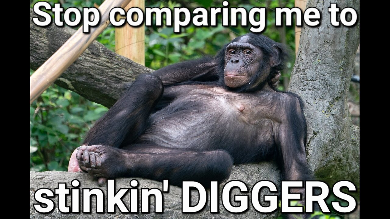 STINKIN' Digger