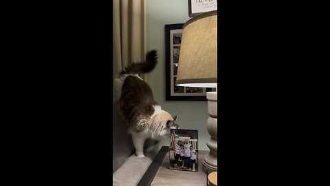 It’s a bug hunt.