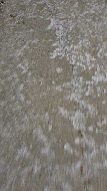 Winnipeg Snow - 11/26/2025