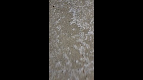 Winnipeg Snow - 11/26/2025