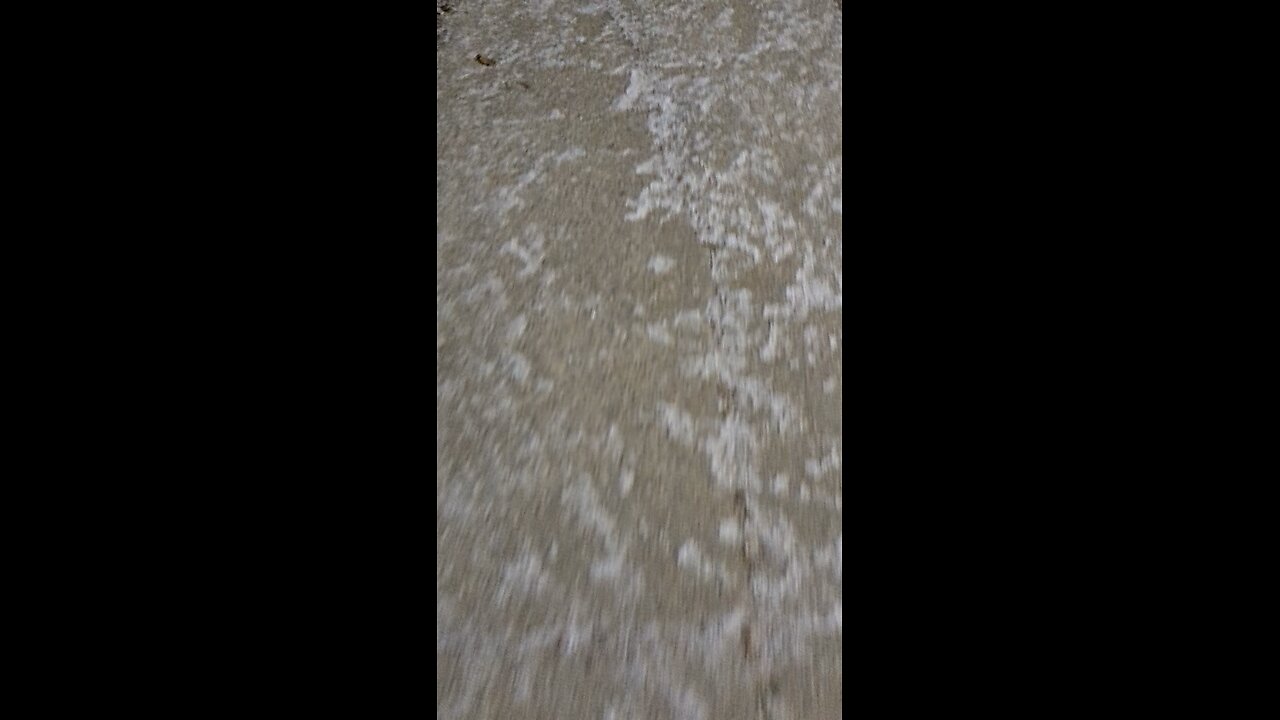 Winnipeg Snow - 11/26/2025