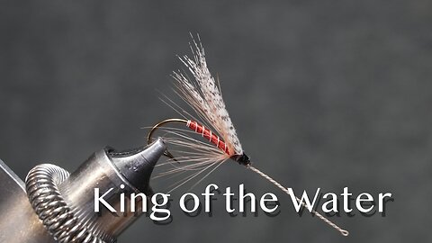 King of the Water on a blind snelled hook: the version in Mary Orvis Marbury's Favorite Flies (1892)