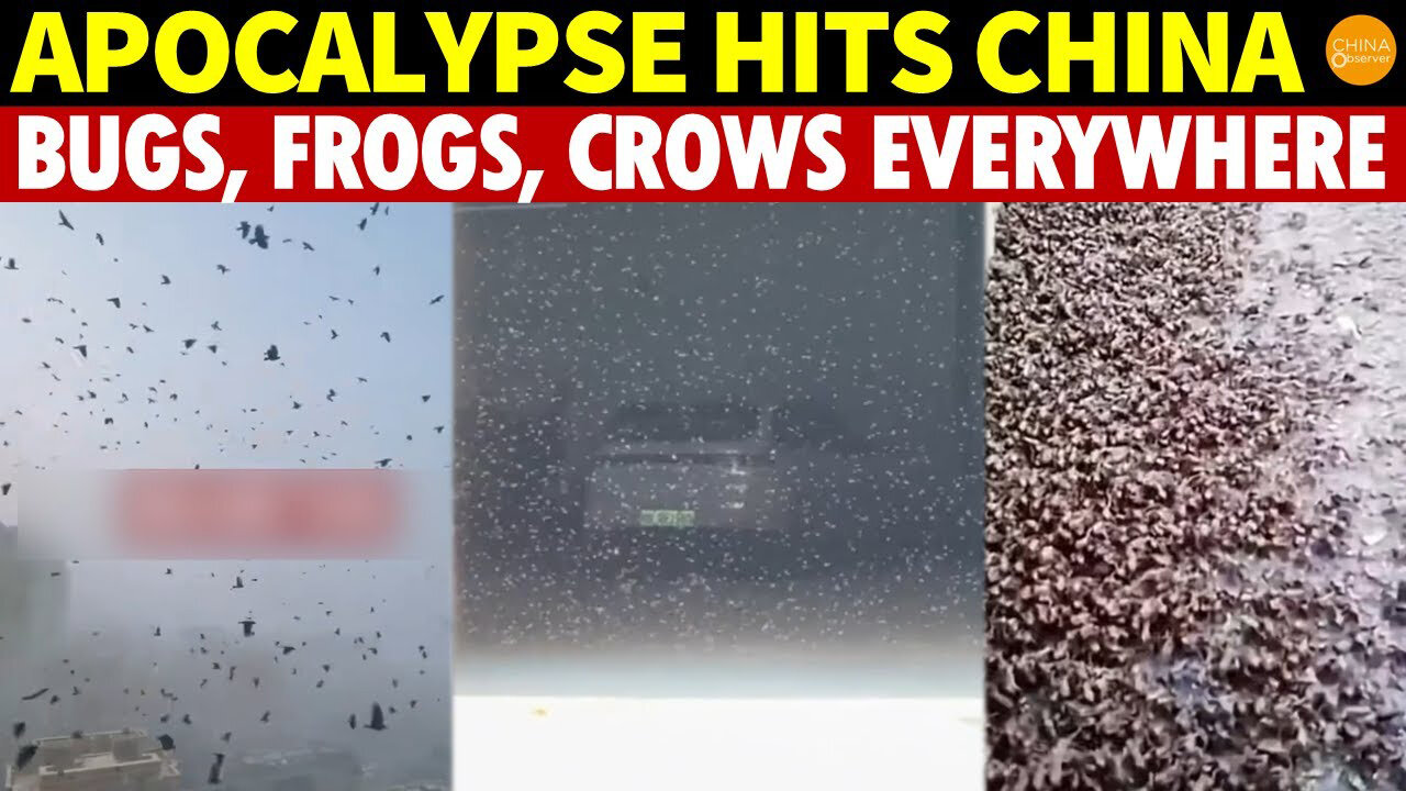 Apocalypse Hits China: Black Clouds of Bugs, Frogs and Crows Everywhere, and Flowers from the Abyss
