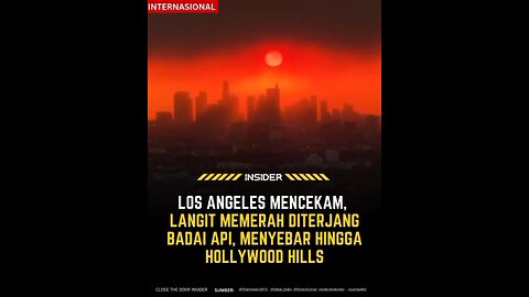 foreat fires in los angeles