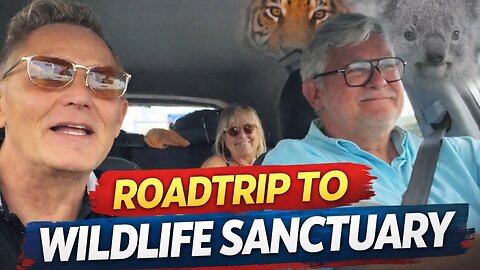 HERE WE GO PUMBAA WILD LIFE SANCTUARY 🦁 🦏 ￼🐃 🐆 🐘