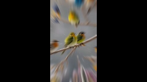 #short #shorts #shortvideo #shortsfeed #shortsviral #foryou #fyp #foryoupageofficiall #viralvideo