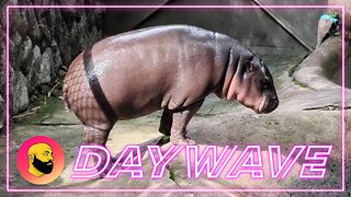 Episode 1676: Hot N' Thick