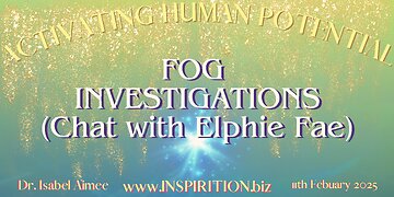 FOG INVESTIGATIONS (Chat with Elphie Fae)