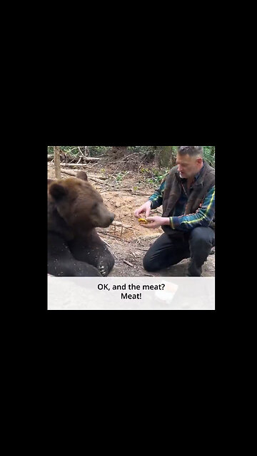 Even a bear won’t eat a McDonald’s burger !!!!!!!!!!!!!!!!!!