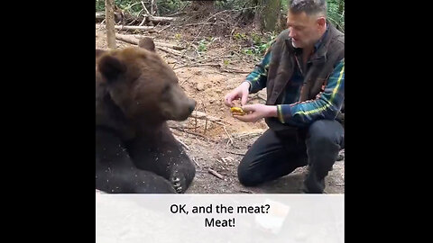 Even a bear won’t eat a McDonald’s burger !!!!!!!!!!!!!!!!!!