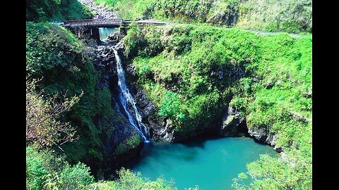 Jungle Cruise Maui Hawaii