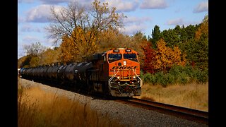 CN 3981, Fall Colors, BNSF with 165 Cars and MOW Equipment Train- Hinckley Subdivision