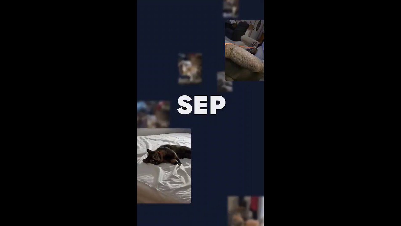 September Recap via Google Photos
