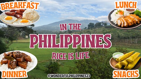 In the Philippines, Rice is Life 🌾🍚