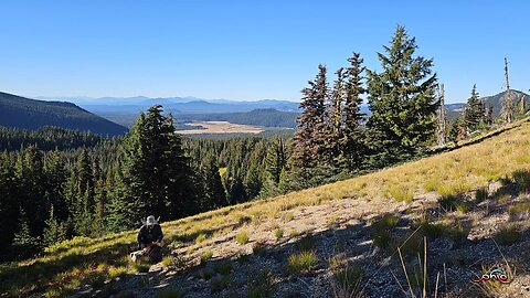 WordHike 84, Ps 1, 2, 15, 22-24, 47, 68, Gal 6