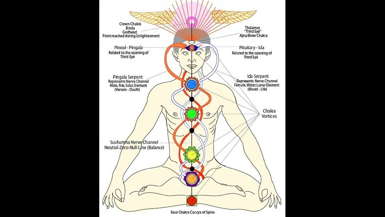 Kundalini 6º. La Visión Del Corazón
