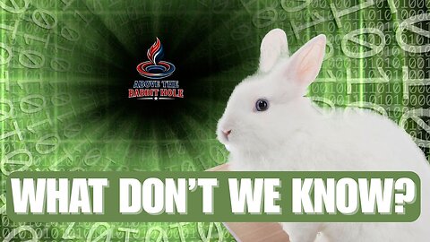 Above The Rabbit Hole EP: 030 - What Don't We Know?