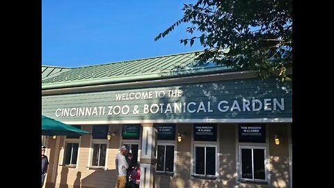 chilling with the galapagos tortoise