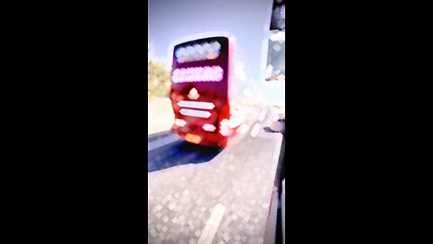 Bus lover