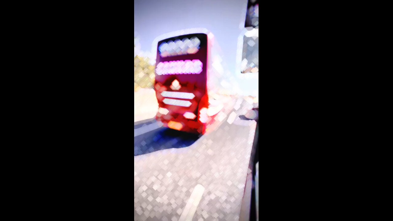 Bus lover