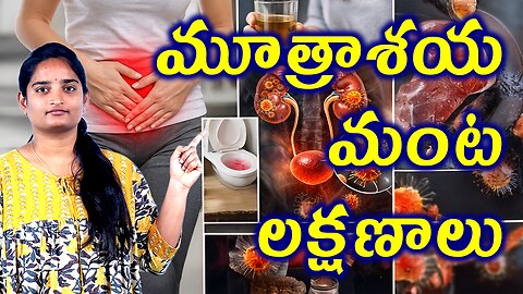 మూత్రశాయ మంట లక్షణాలు Symptoms Of Interstitial Cystitis | Interstitial Bladder Pain Homeopathy Cure