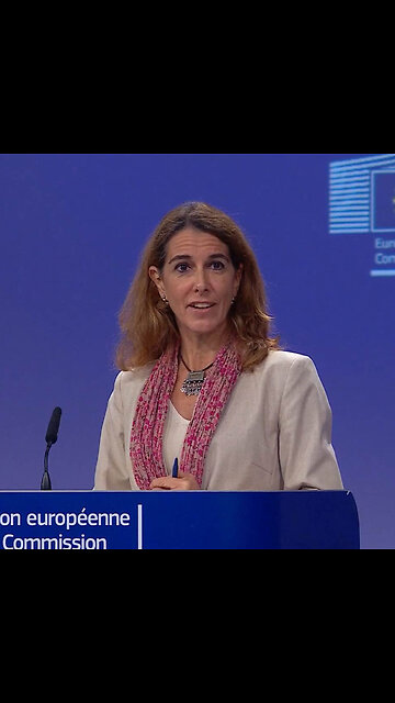 La pregunta sobre Israel que dejó sin respuesta a la portavoz de la UE