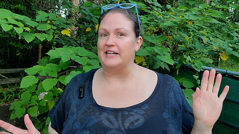 What If You Saw Every Life Chapter as a Gift? (Part 1) ✨