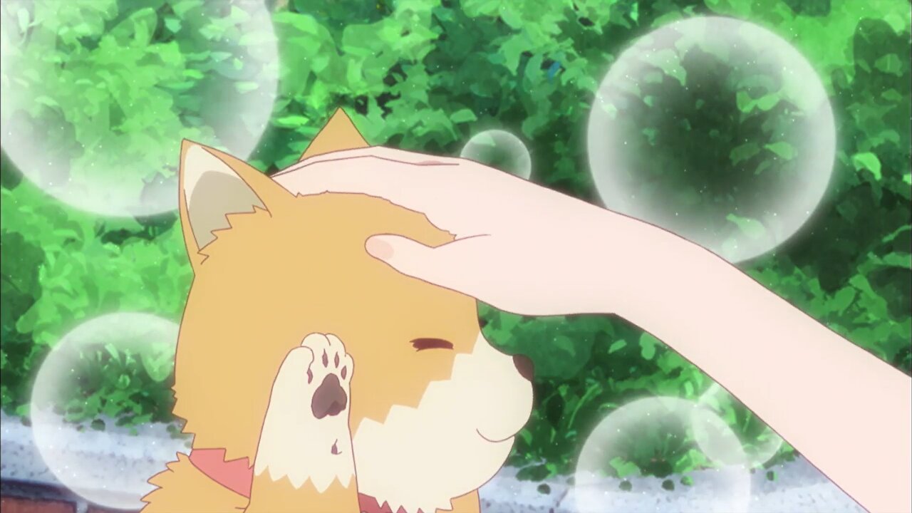 Watashi ni ga Tenshi Maiorita - 8