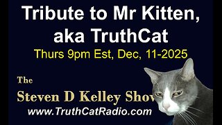 TCR#1153 STEVEN D KELLEY #465 DEC-11-2025 Tribute to Mr. Kitten aka TruthCat