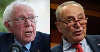 Bernie Sanders HIJACKS Schumer’s Press Conference