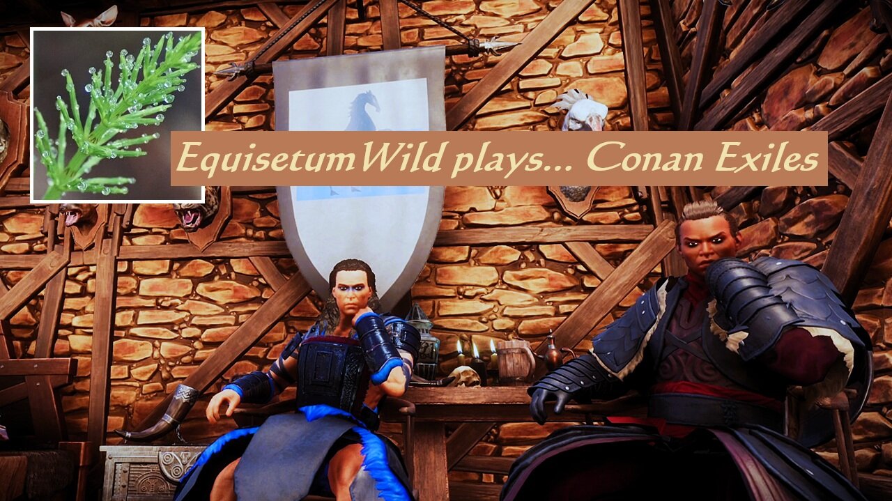 EquisetumWild plays Conan Exiles... because I'm Bored! (Chill and Chat Stream)