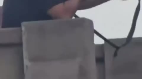 Bondi False Flag shooter