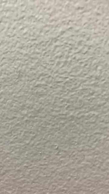 New Years Eve Celebrations