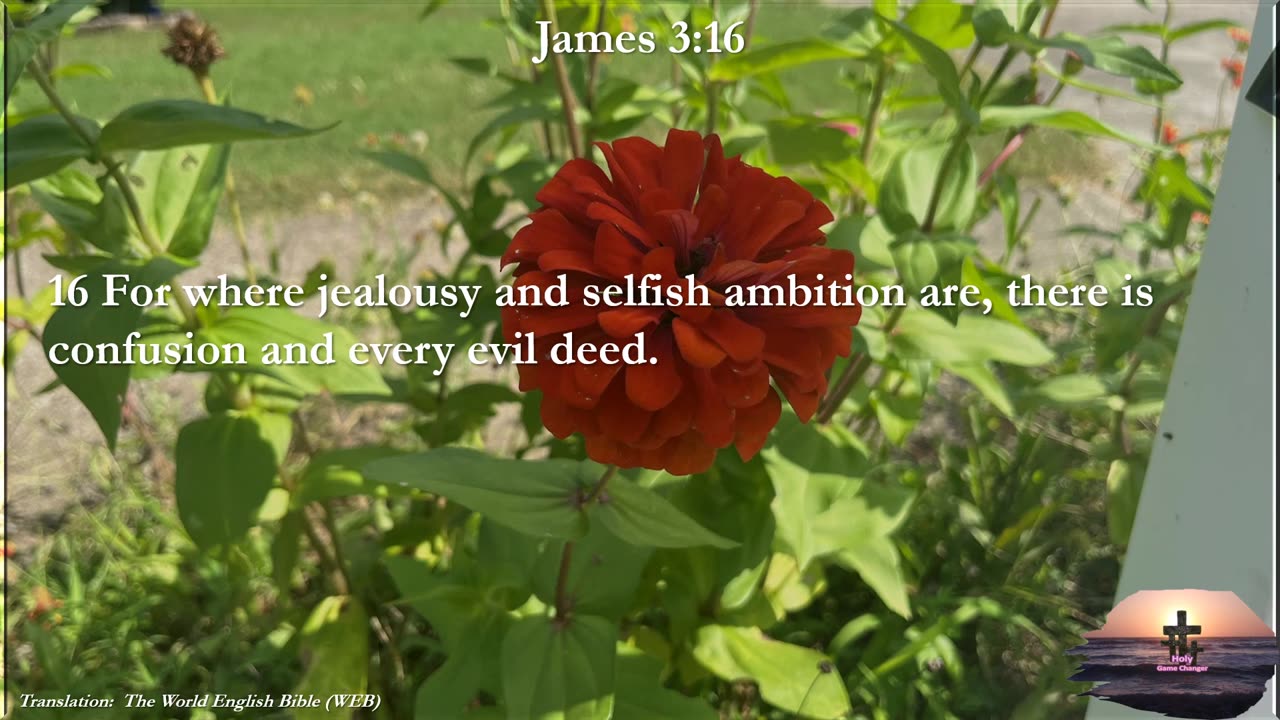 James 3:16