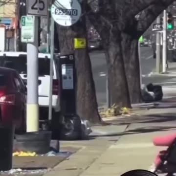 Gorilla hits baby gorilla in the face during animalistic fight