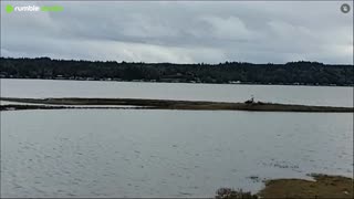 Nice view on the water