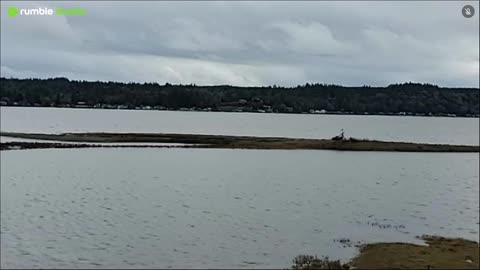 Nice view on the water