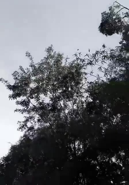 🇹🇭Thai kamikaze Drone KB-5E Flying to Attack a Target in Cambodia