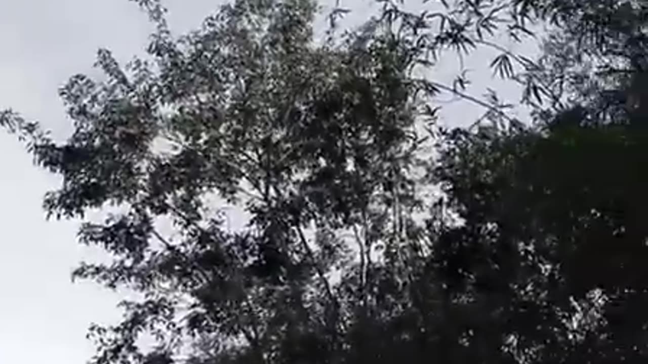 Thai kamikaze Drone KB-5E Flying to Attack a Target in Cambodia