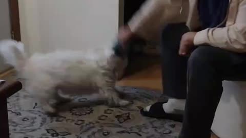 My Bouncing Baby Boy